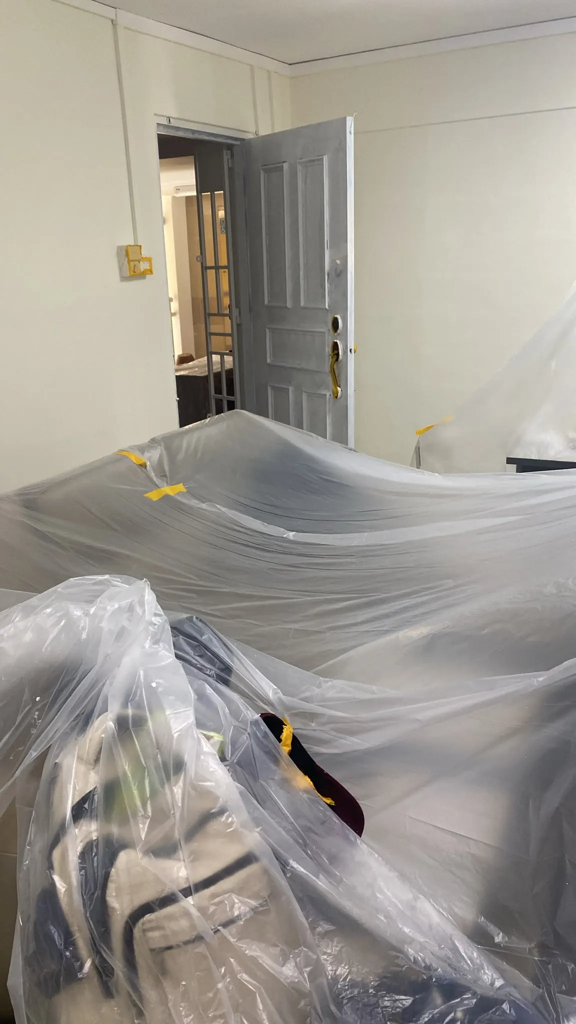 Full Home Repainting with Furniture Protected, photo 2